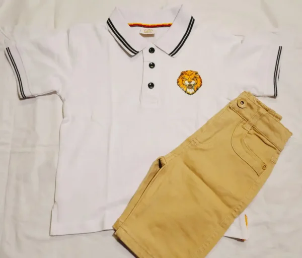Stylish Cotton Printed T shirt Set For Kid's